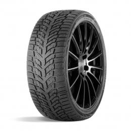 Doublestar Winterking DW08 225/55R16 95H